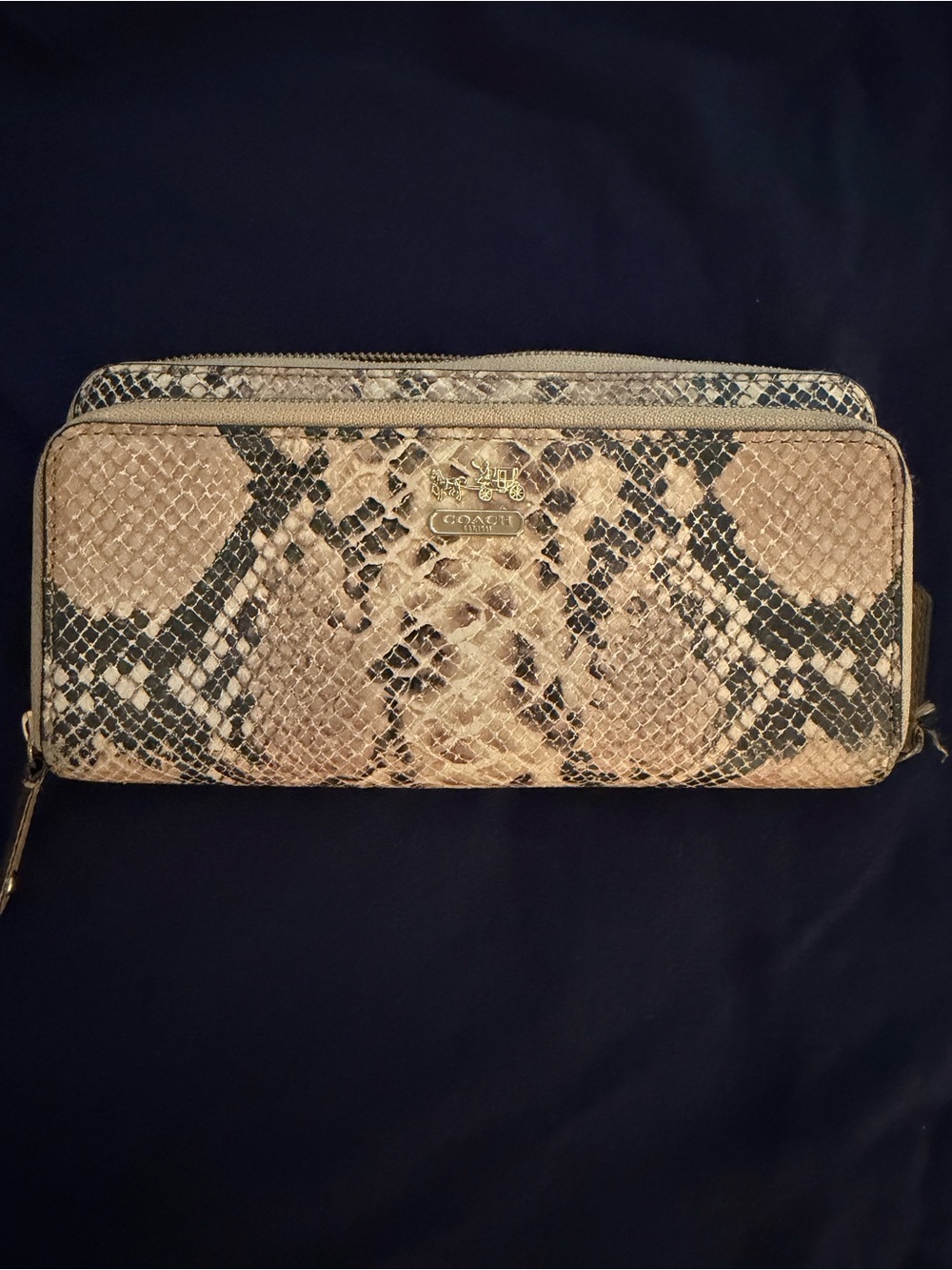 Coach Snake-Print Zip Wallet in Beige and Black